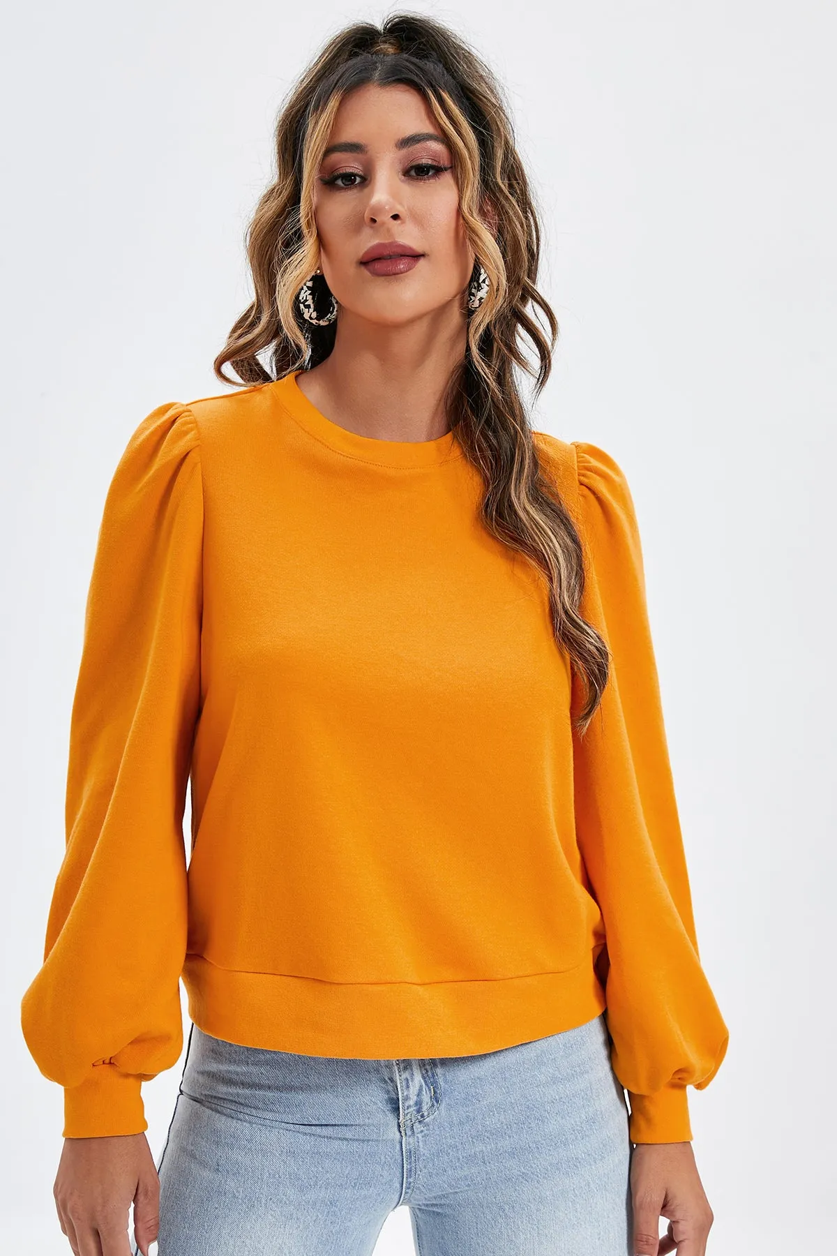 Casual Plain Plicated Bishop Sleeve Sweatshirt