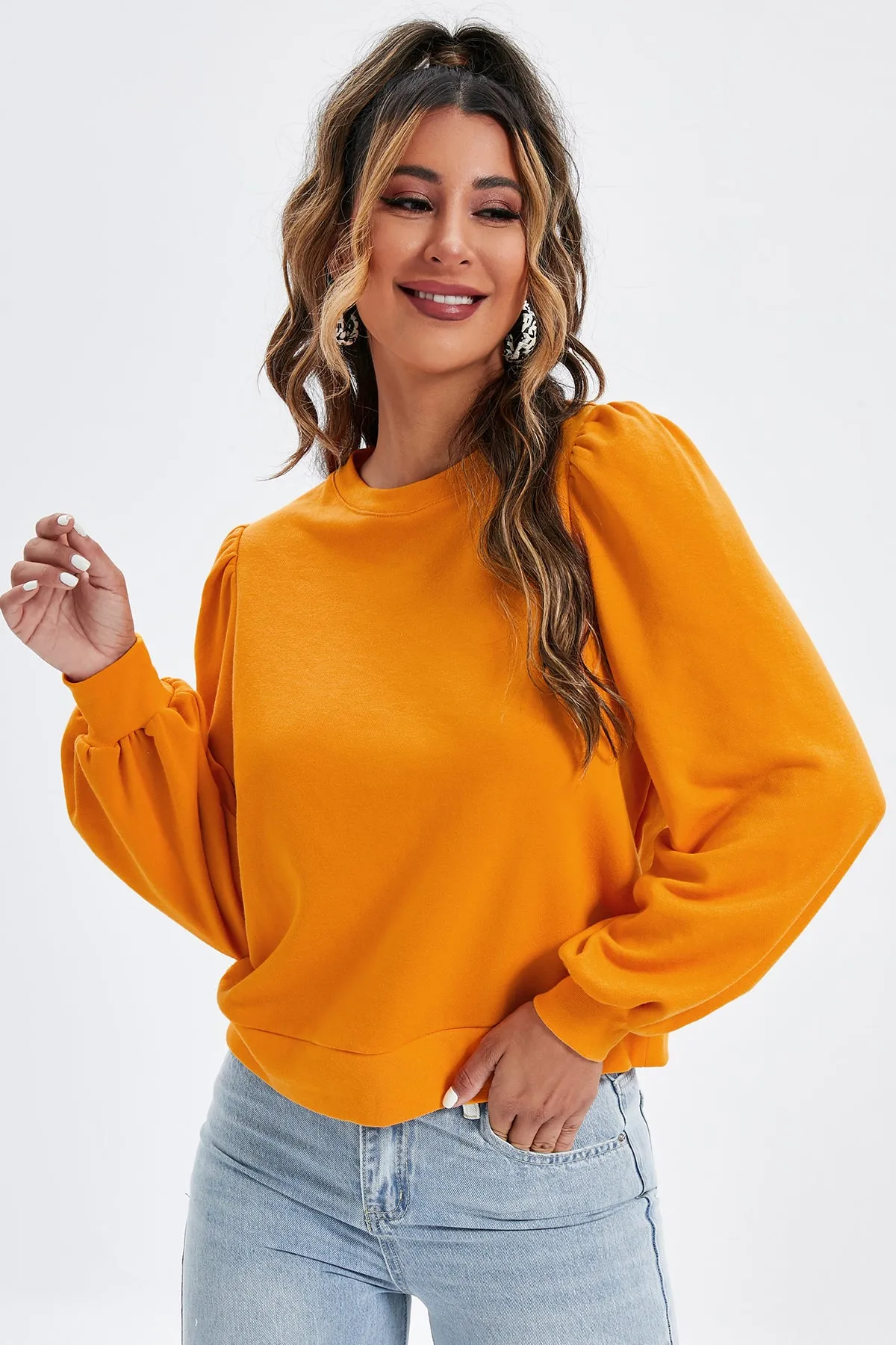 Casual Plain Plicated Bishop Sleeve Sweatshirt